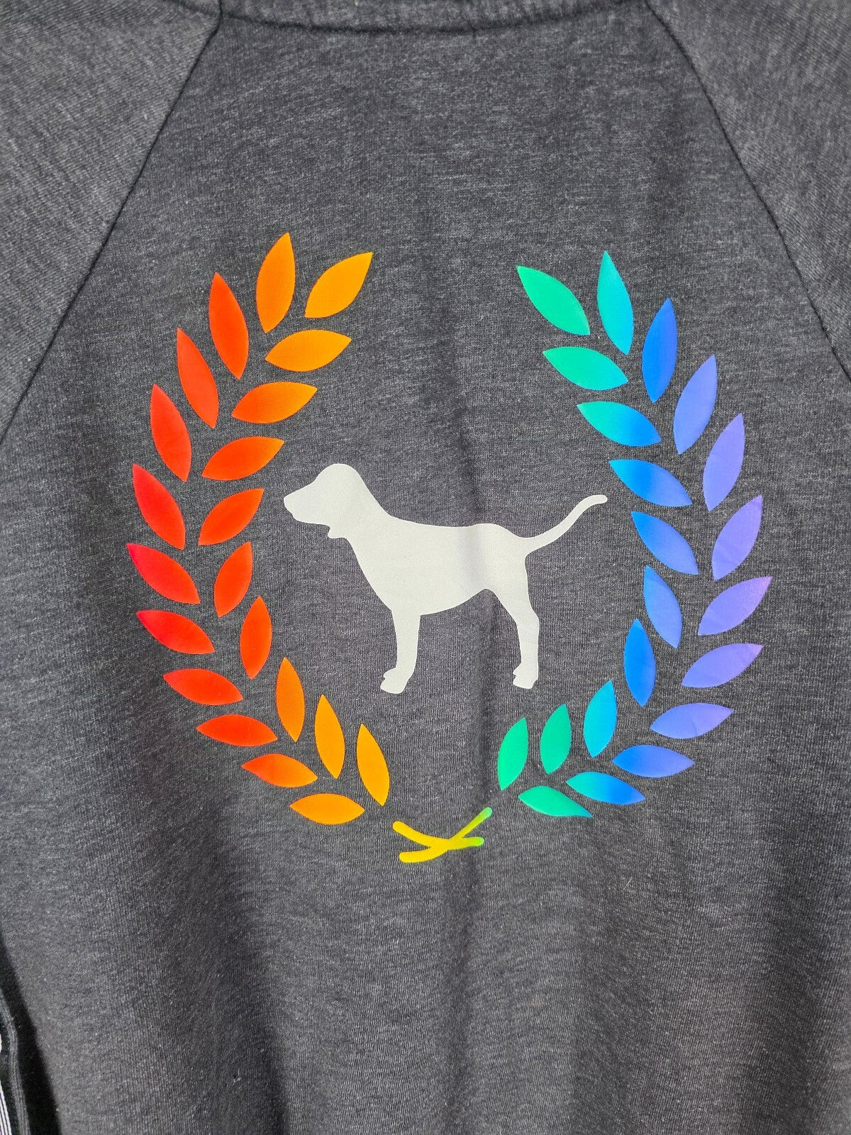 Victorias Secret Pink Rainbow Crest Crew Sweater Shirt SMALL