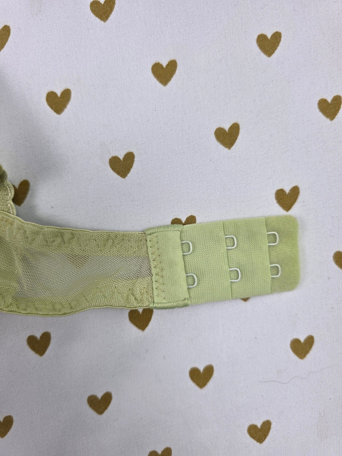 Victorias Secret Vintage sheer 38C Green Blue Bra