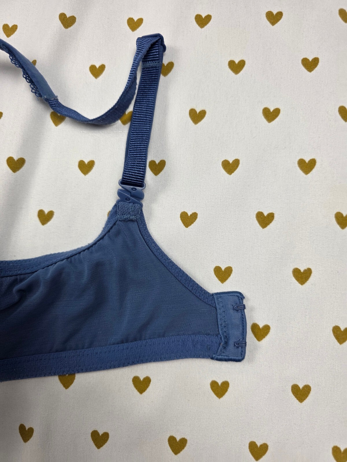 Victorias Secret Blue Lined Perfect Coverage Bra 38C