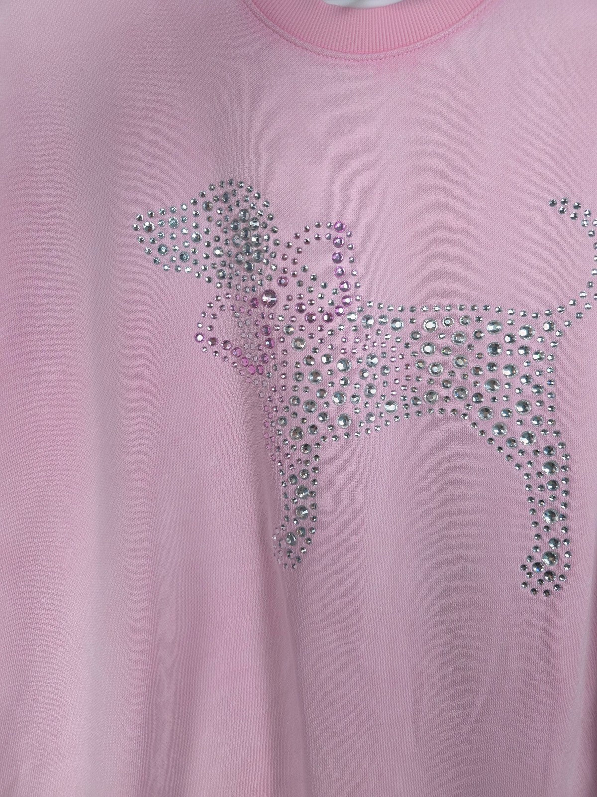 PINK x LoveShackFancy Rhinestone Dog Sweatshirt Dress Pink NWT S BLING