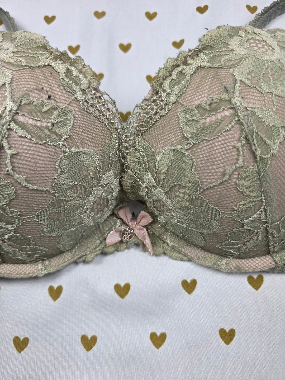 Victorias Secret Sage Green Lace Lined Push Up Bra 34C