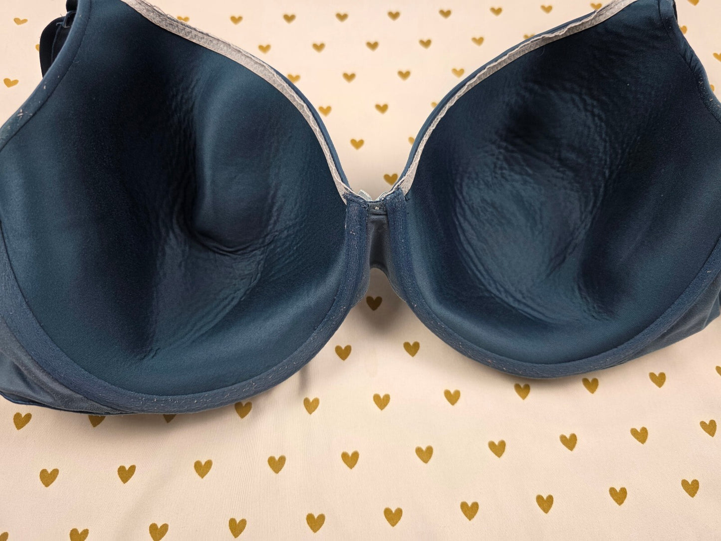 Victorias Secret Blue Lined Perfect Coverage Bra 40DDD 40F