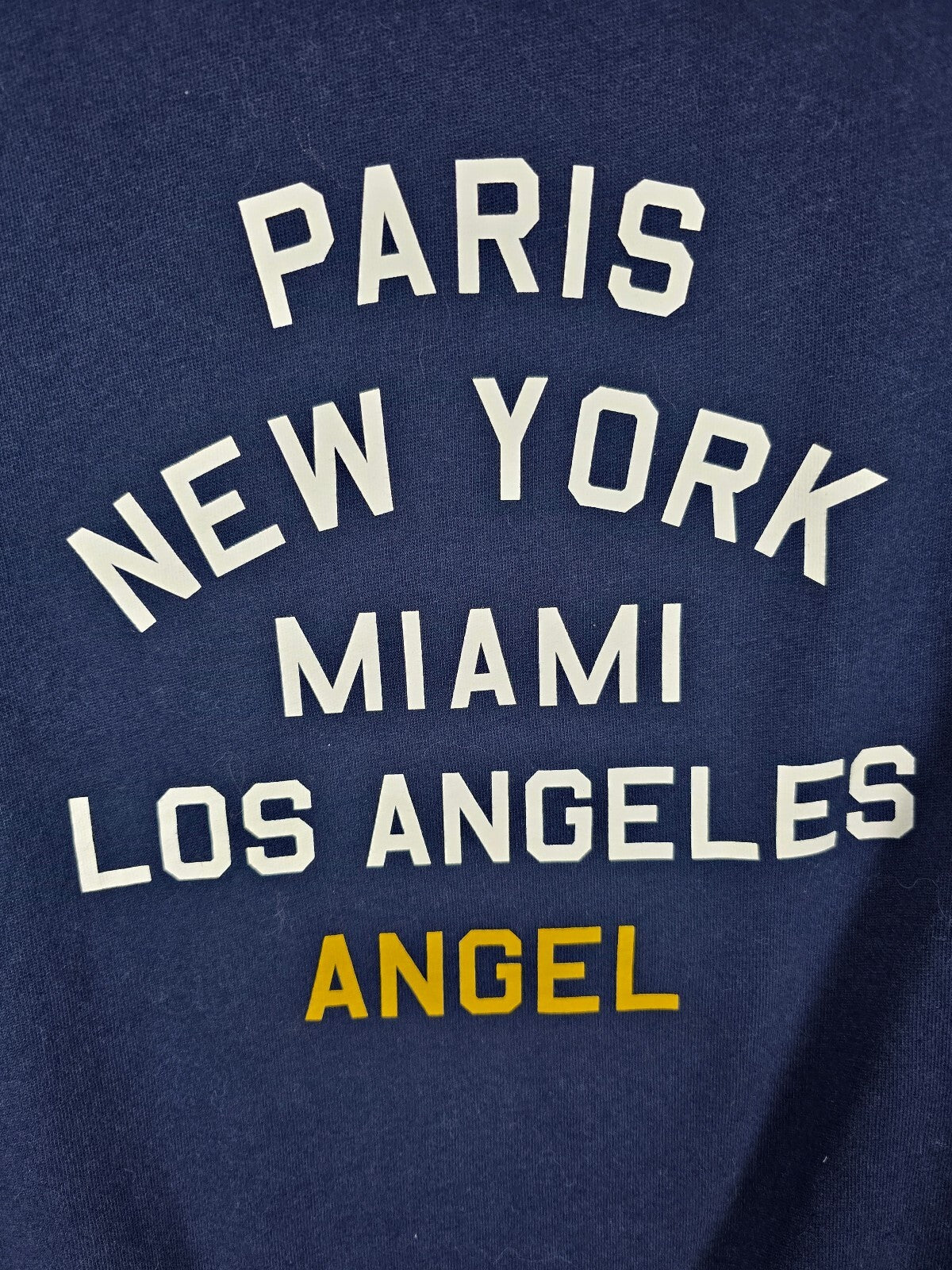 Victorias Secret ANGELS Blue Crew Sweater Shirt SMALL wings