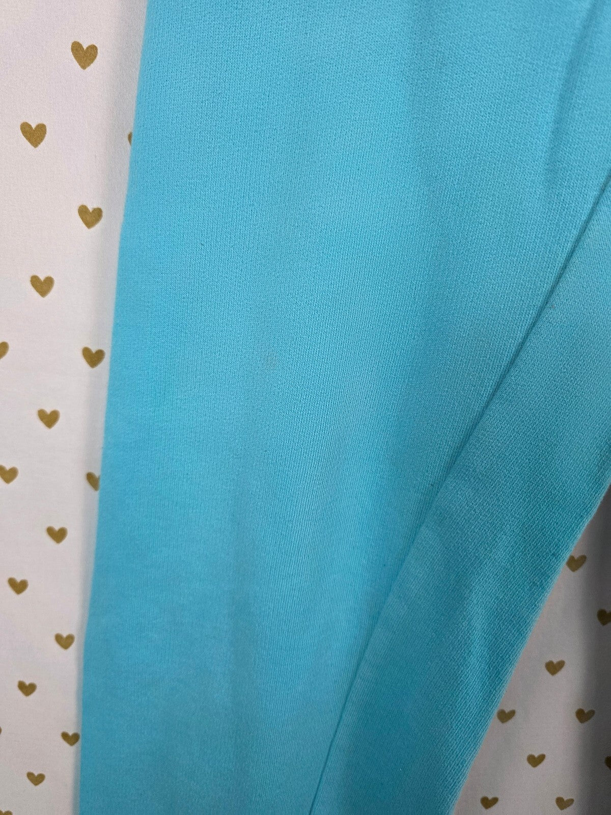 PINK Victoria's Secret Aqua Blue Jogger Sweatpants Leopard Logo Graphic XS