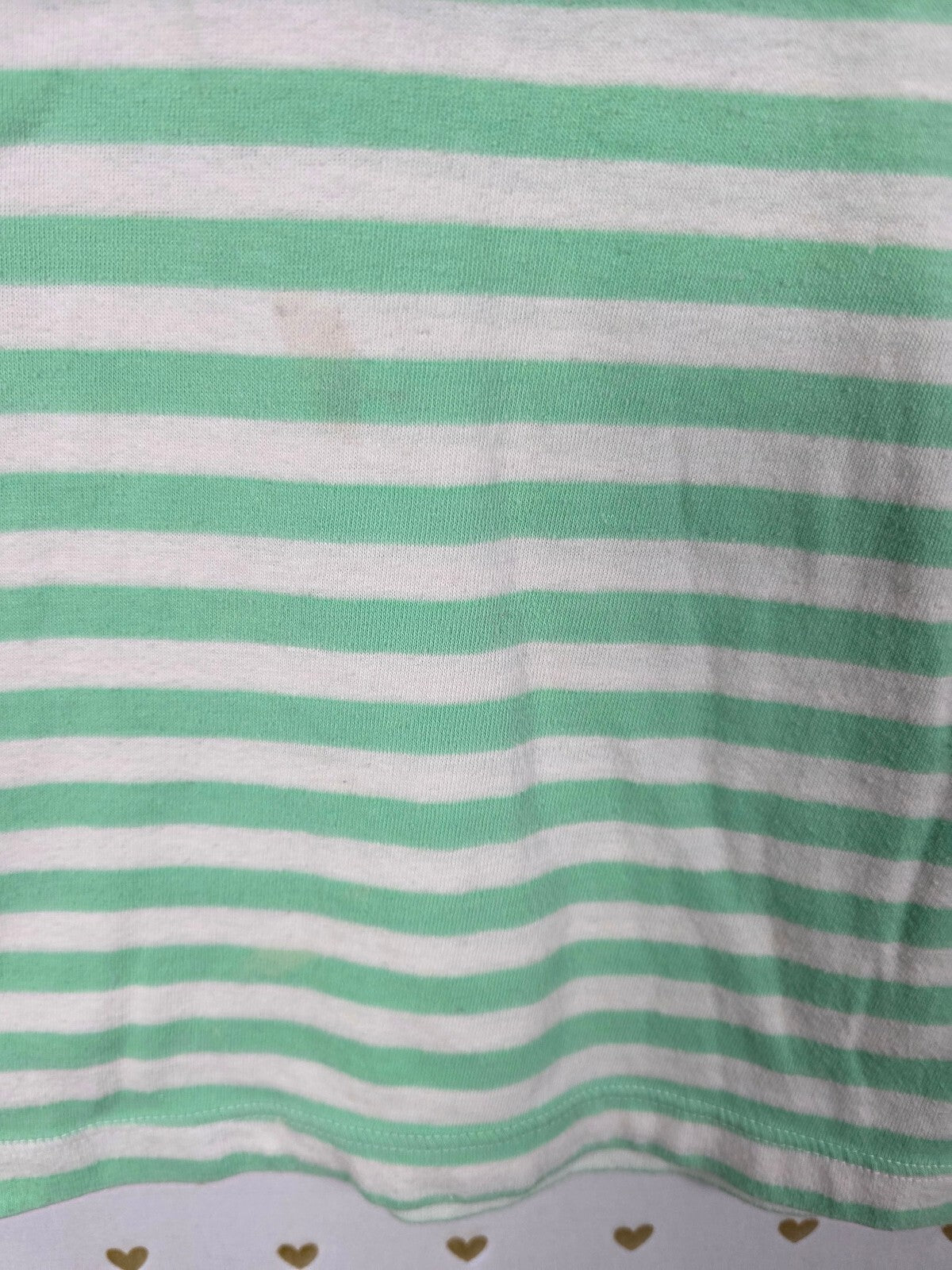 Victoria's Secret PINK 86 Dog Tee Large Mint Striped Rainbow Graphic Vintage