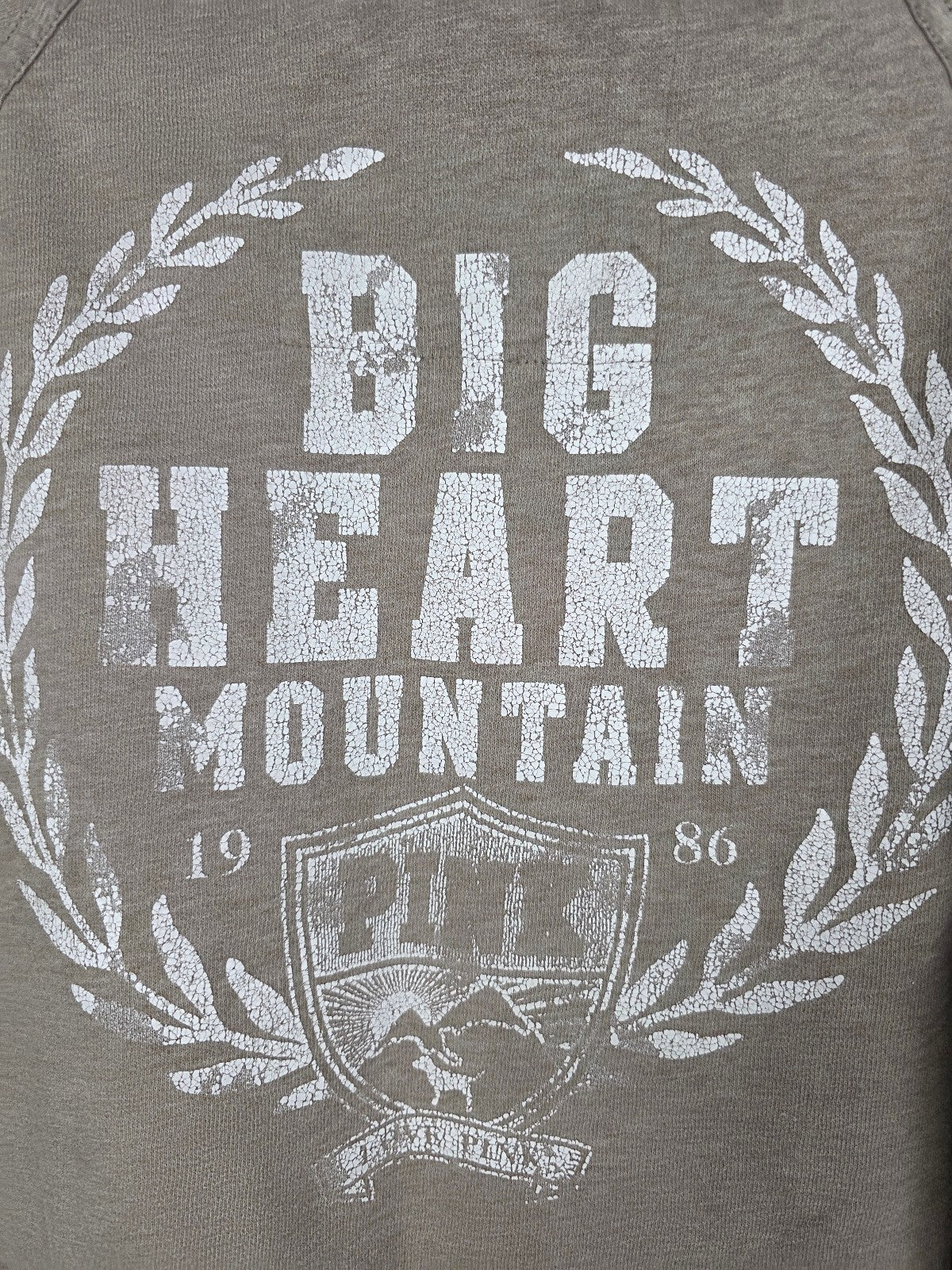 Victorias Secret Pink VINTAGE y2k BIG HEART MOUNTAIN Pullover Hoodie Jacket L