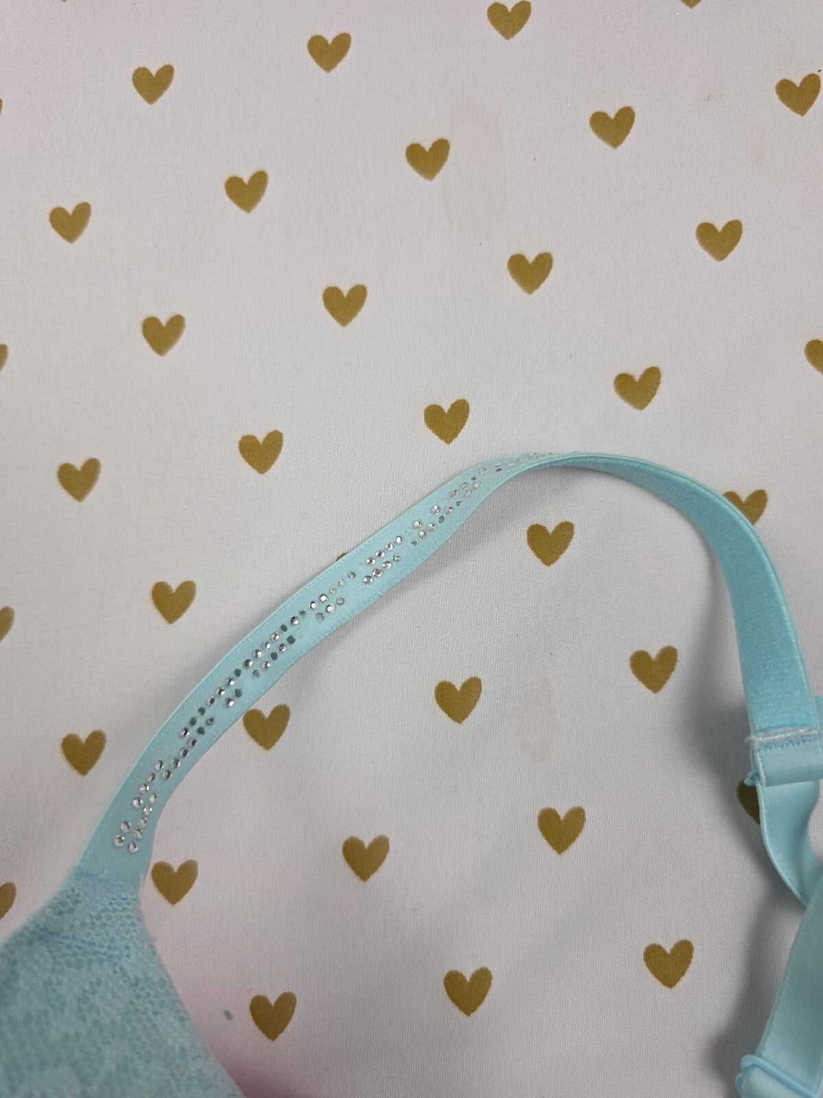 Victorias Secret Leopard Accent PINK Bra 34DD  Blue Push Up