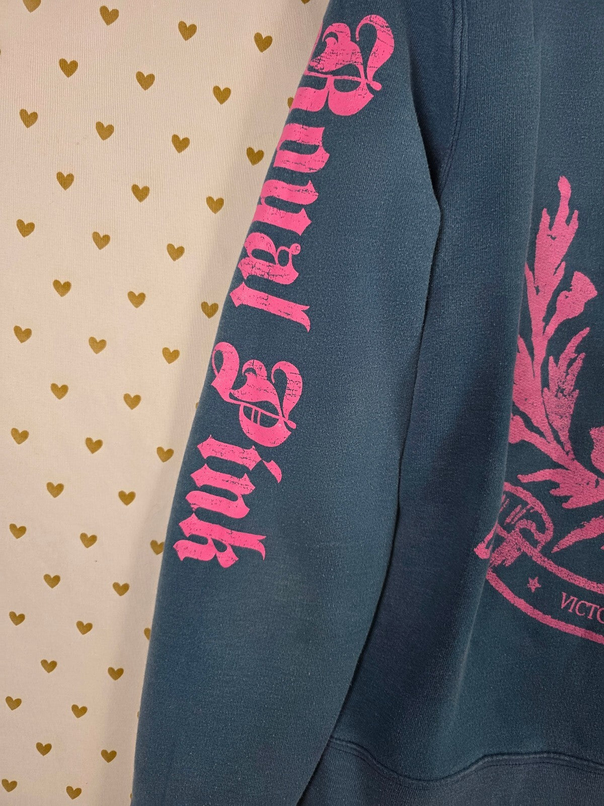 Victoria's Secret Royal PINK Vintage Blue Zip Up Hoodie Crown Dog Medium Y2k