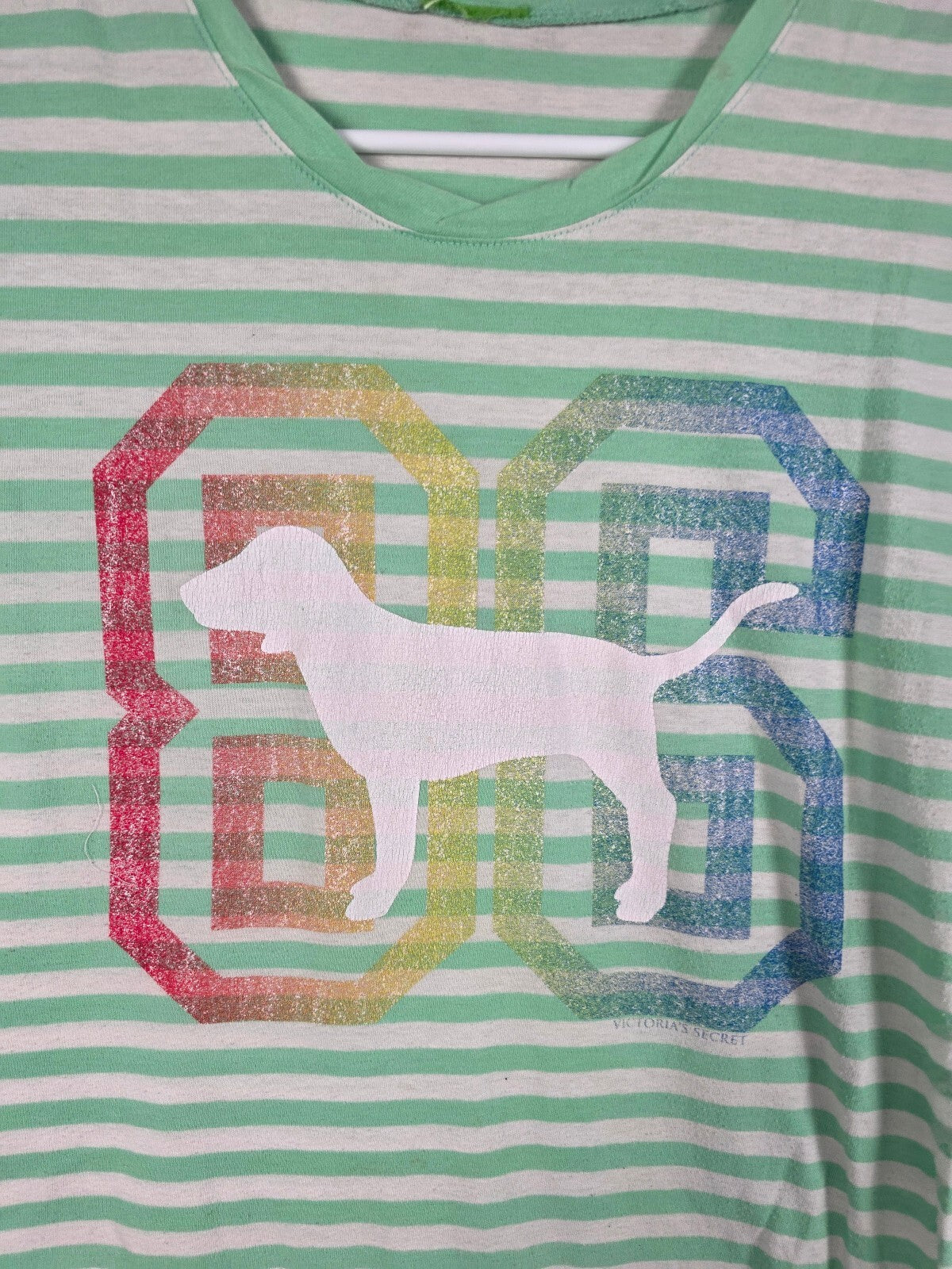Victoria's Secret PINK 86 Dog Tee Large Mint Striped Rainbow Graphic Vintage