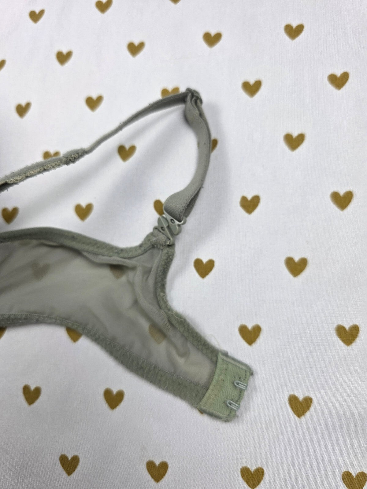 Victorias Secret Sage Green Lace Lined Push Up Bra 34C