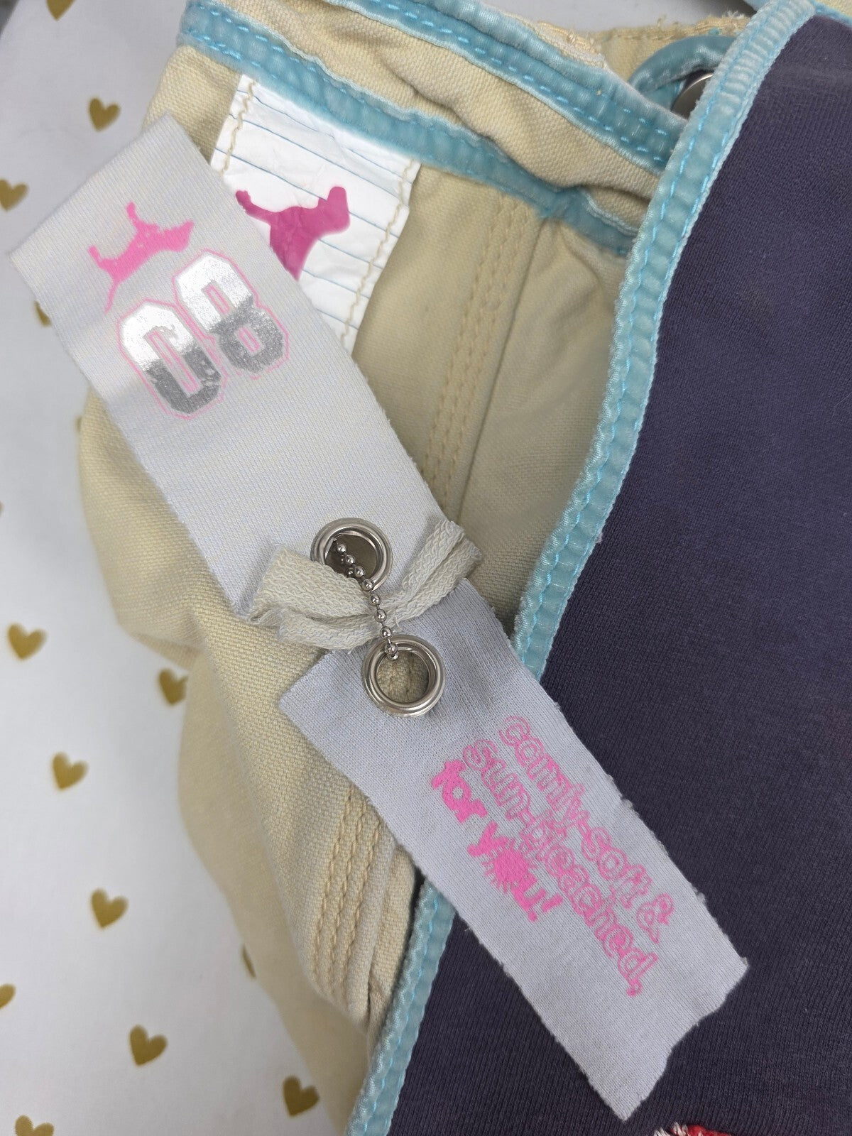 RARE Victoria's Secret PINK Live In Pink 86 Messenger Bag Canvas Crossbody HTF