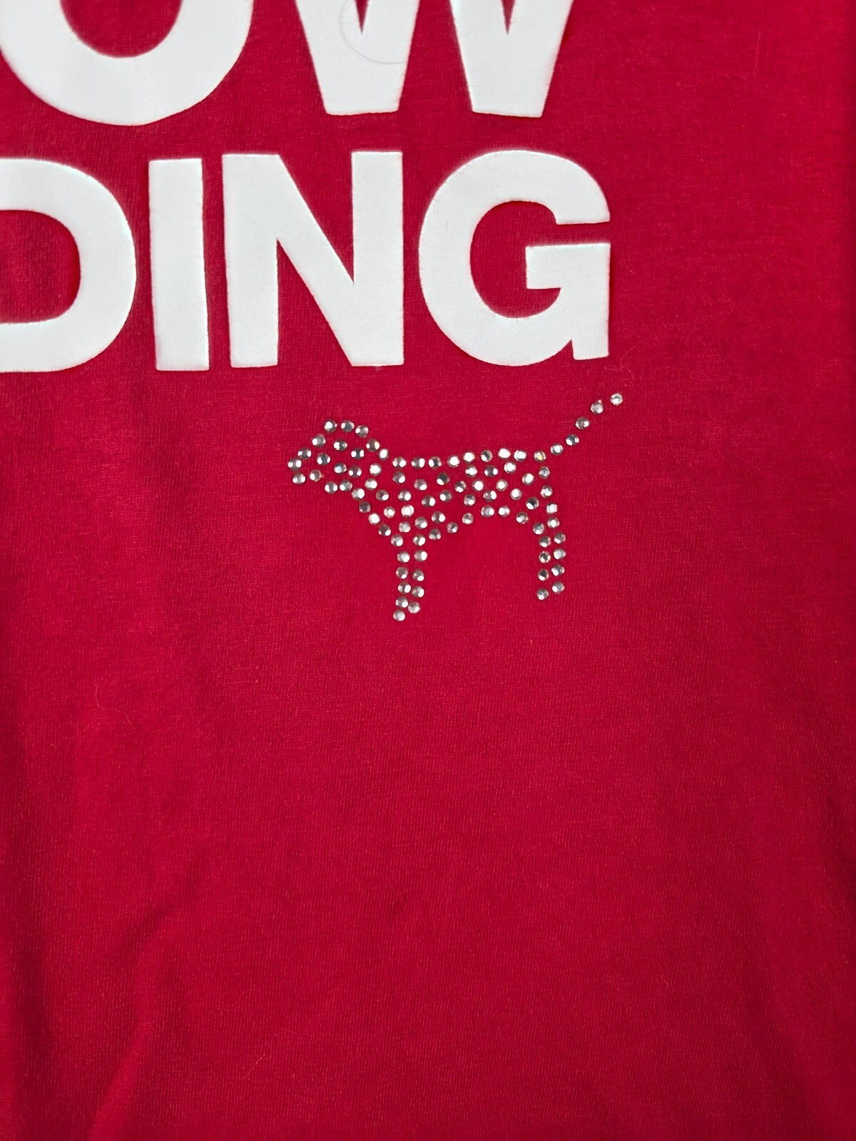Victoria's Secret PINK Snowboarding Tee Shirt L Red Rhinestone Dog Ski Graphic
