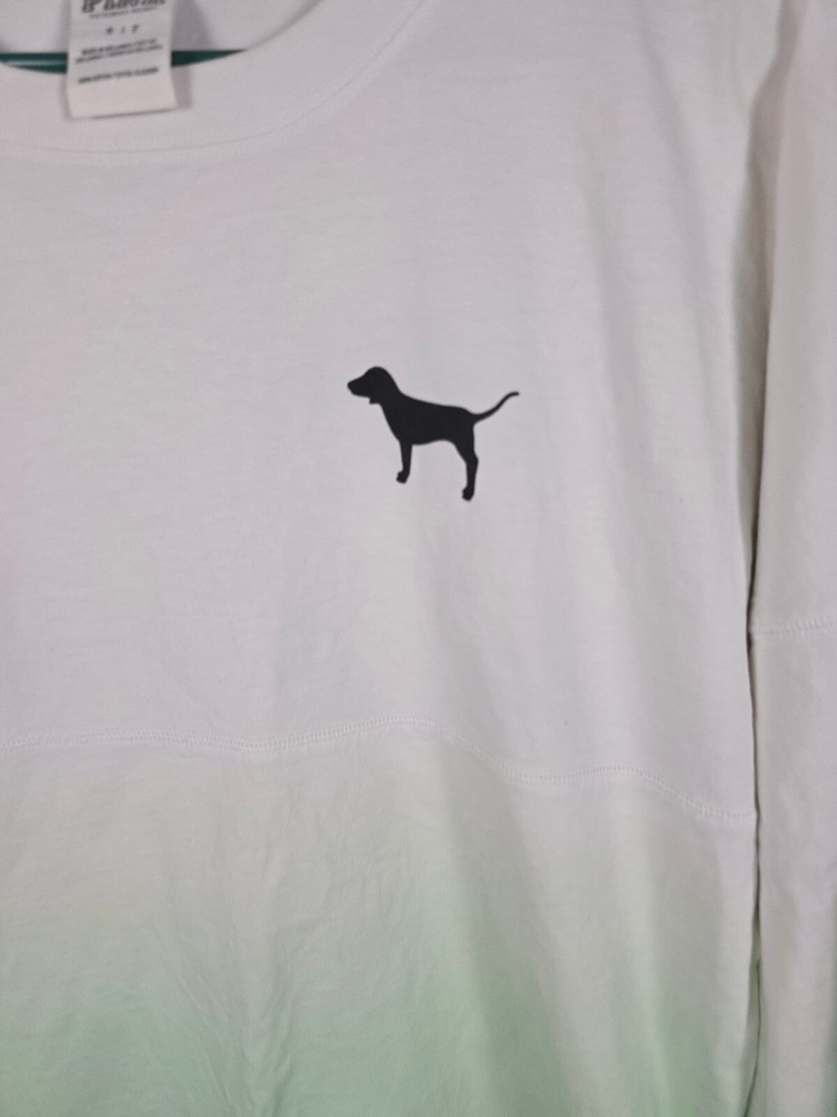 Victorias Secret PINK Gradient Green CAMPUS tee shirt Logo Love SMALL Oversized