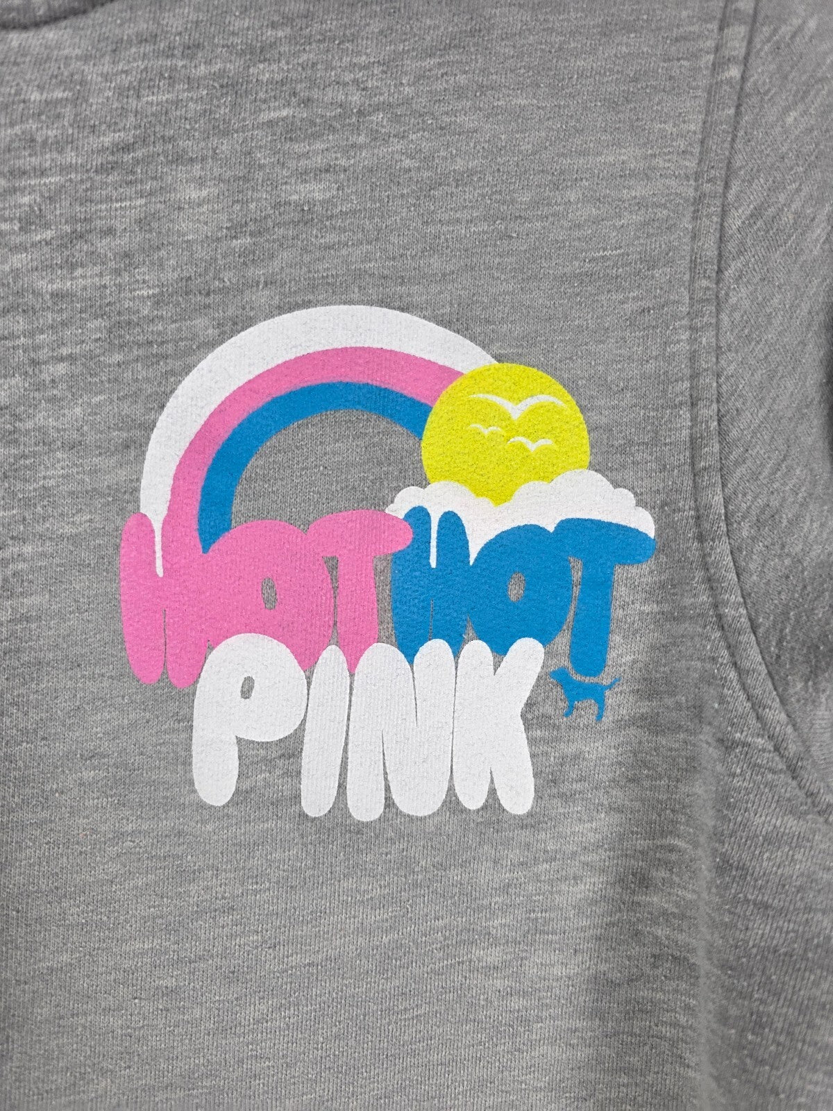 Vintage Victoria's Secret PINK Hot Hot Pink Rainbow Zip Hoodie Gray L