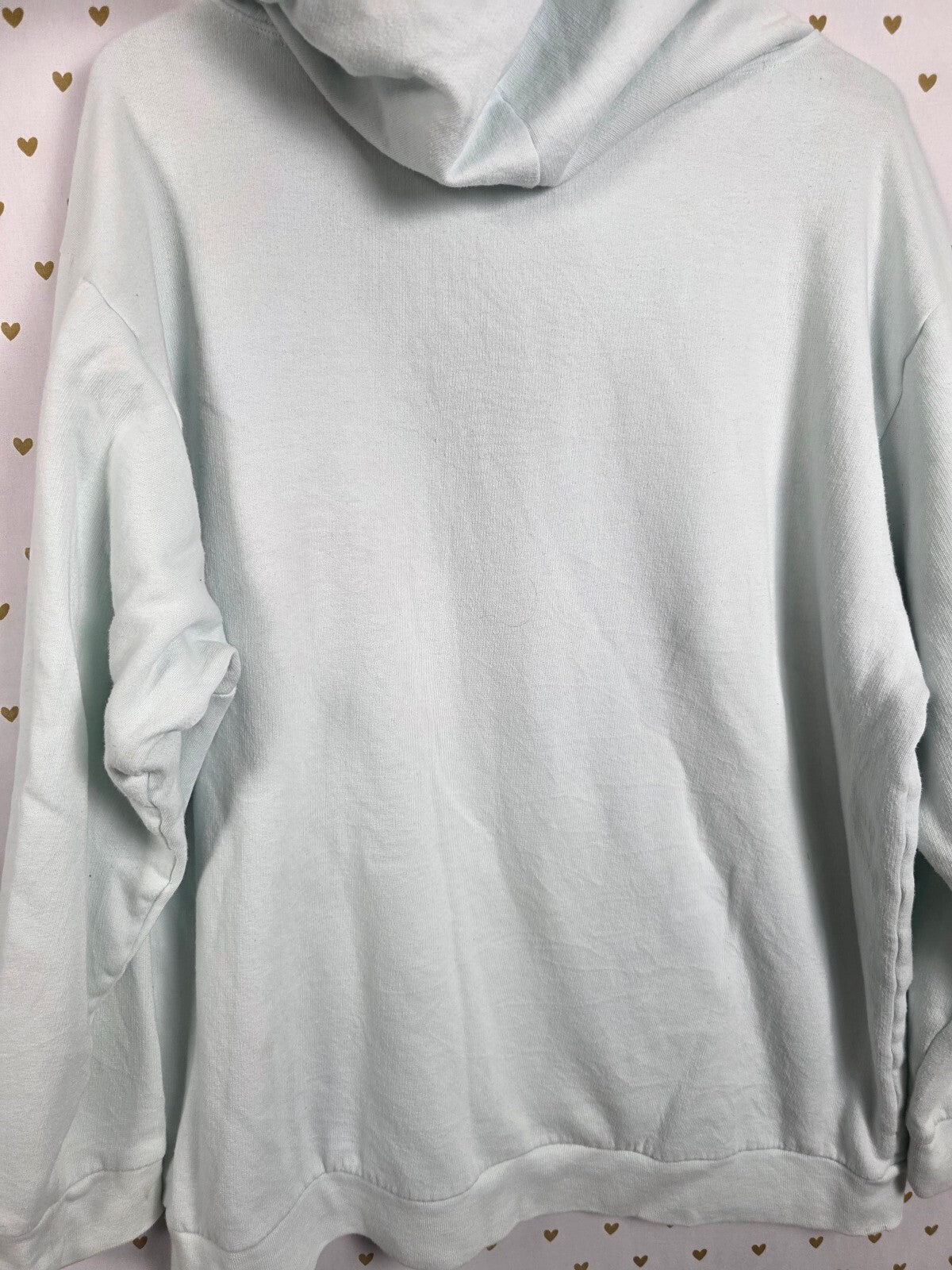 Victorias Secret Pink Mint Logo Hoodie Pullover Sweater Long Sleeve XL